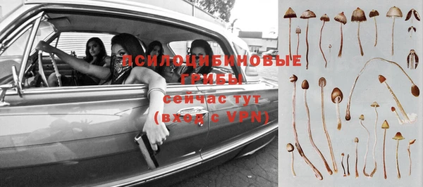 каннабис Верея